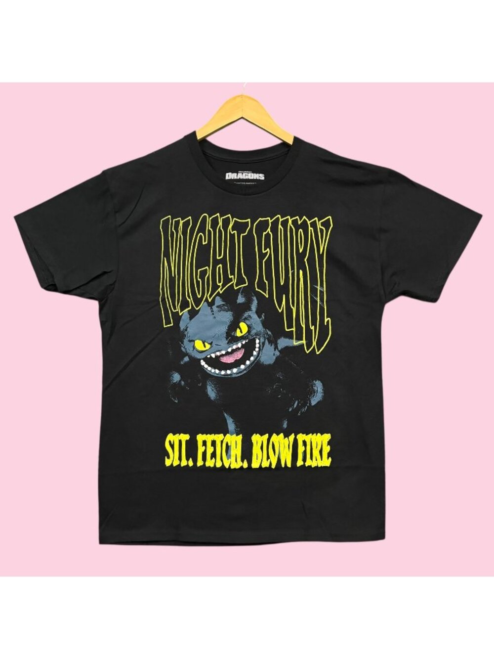 Dreamworks Dragons Toothless Sit Fetch Blow Fire Tee L